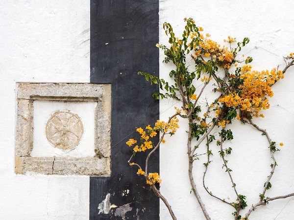 Eggers, Julie 아티스트의 Portugal-Obidos-Orange bougainvillea growing against a wall and carved sculpture on wall작품입니다.